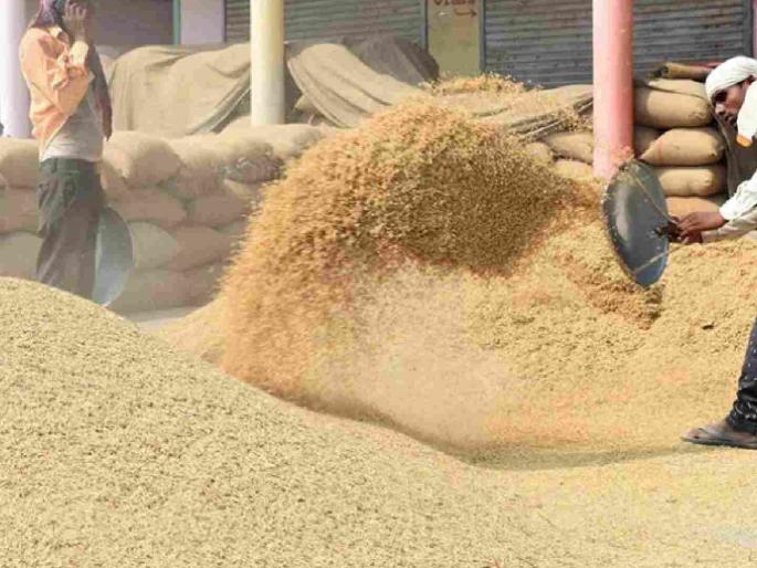 The main accused among the 17 accused in the paddy purchase scam is in police custody. | धान खरेदी घोटाळ्यातील १७ आरोपींपैकी प्रमुख आरोपी पोलिसांच्या ताब्यात The main accused among the 17 accused in the paddy purchase scam is in police custody. | धान खरेदी घोटाळ्यातील १७ आरोपींपैकी प्रमुख आरोपी पोलिसांच्या ताब्यात
