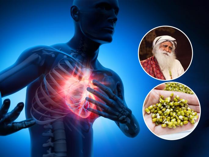 Sadhguru Told 5 Easy Ways And Foods That Can Control High BP naturally At Home | अचानक घाबरल्यासारखं होतं-घाम फुटतो? सद्गुरूंचे ५ उपाय, B.P कंट्रोलमध्ये येईल, अटॅक टळेल