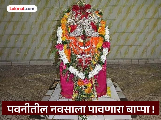 Bappa, who gives what you want in Pawani city! 701-year-old Panchamukhi Ganesh idol carved on a Shami tree | पवनीतील नवसाला पावणारा बाप्पा ! ७०१ वर्षे पंचमुखी गणेश मूर्ती शमीवृक्षावर कोरलेली