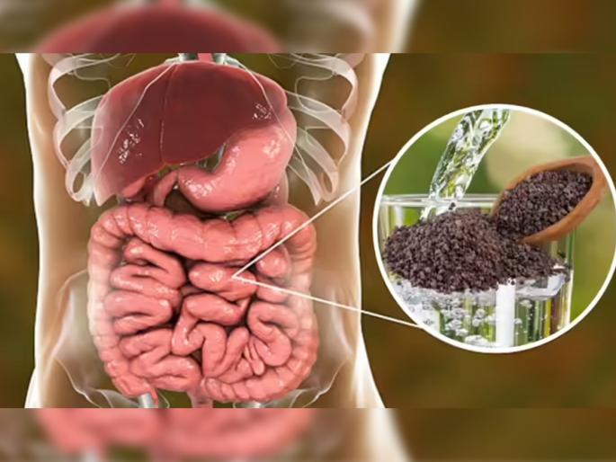 Suman Told Rock Salt Remedy To Clean Intestine Naturally At Home And Beat Constipation Gas | संडासला साफ होत नाही? चिमूटभर काळ्या मिठाचा १ उपाय-सकाळी पोट साफ होईल चटकन