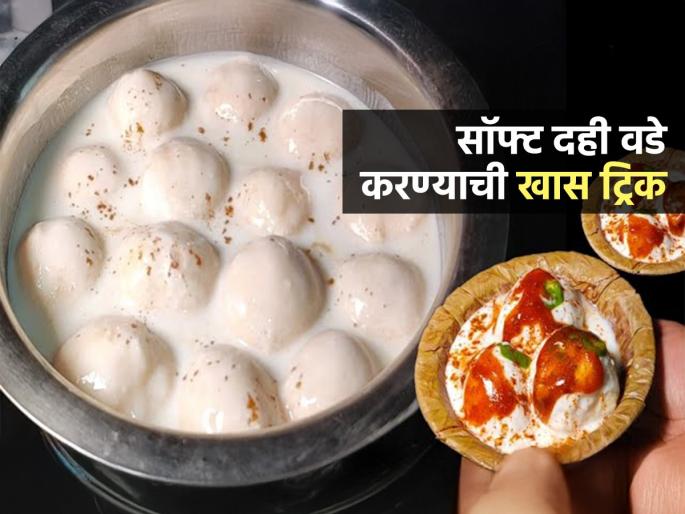 Pitru Paksh 2025 How To Make Dahi Vada : Soft Dahi Vada Recipe Dahi Vada Easy Recipe | Pitru Paksh 2025 : कापसासारखे मऊ,चटपटीत दही वडे घरीच करा, एकदम सोपी रेसिपी; जीभेवर ठेवताच विरघळेल