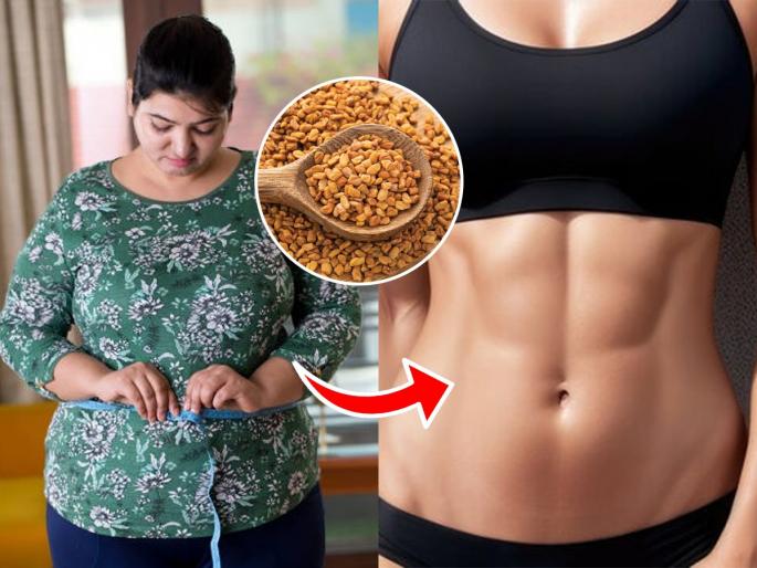 How To Reduce Belly Fat Using Fenugreek : Fenugreek Benefits To Lose Fat And Weight Loss | पोट-कंबरेची चरबी वाढलीये? १ चमचा मेथीच्या दाण्यांचा सोपा उपाय, मेणासारखी वितळेल चरबी
