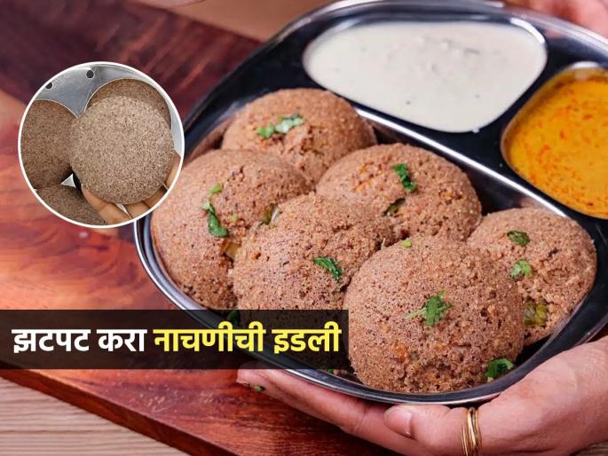 Soft Ragi Idli Recipe : How To Make Soft Ragi Idli Idli Recipe | पीठ न आंबवता १० मिनिटांत करा सुपर सॉफ्ट पौष्टीक नाचणीची इडली; सोपी चवदार रेसिपी