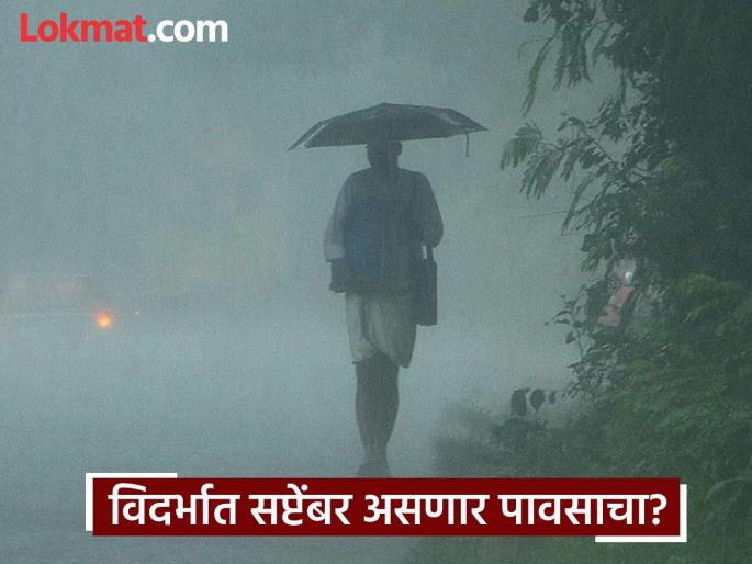 Vidarbha Rain News : Heavy rains in most districts of Vidarbha for the next two days! Will the entire month of September remain rainy? | Vidarbha Rain News : पुढचे दाेन दिवस विदर्भाच्या बहुतेक जिल्ह्यात मुसळधार ! पूर्ण सप्टेंबर महिना राहणार पावसाळी? Vidarbha Rain News : Heavy rains in most districts of Vidarbha for the next two days! Will the entire month of September remain rainy? | Vidarbha Rain News : पुढचे दाेन दिवस विदर्भाच्या बहुतेक जिल्ह्यात मुसळधार ! पूर्ण सप्टेंबर महिना राहणार पावसाळी?