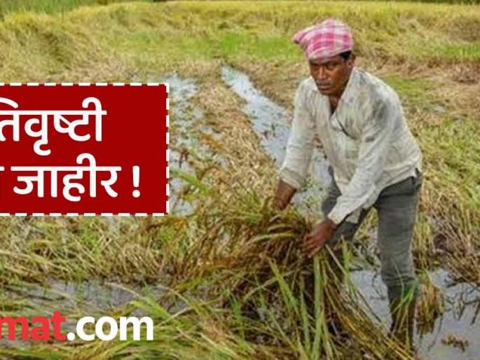 Ativrushti Nuksan Bharpai : Relief for 13 thousand 742 farmers of Chandrapur! After three months, they will get Rs 7 crores in due time. | Ativrushti Nuksan Bharpai : चंद्रपुरातील १३ हजार ७४२ शेतकऱ्यांना दिलासा ! तीन महिन्यांनंतर मिळणार अवकाळीचे ७ कोटी Ativrushti Nuksan Bharpai : Relief for 13 thousand 742 farmers of Chandrapur! After three months, they will get Rs 7 crores in due time. | Ativrushti Nuksan Bharpai : चंद्रपुरातील १३ हजार ७४२ शेतकऱ्यांना दिलासा ! तीन महिन्यांनंतर मिळणार अवकाळीचे ७ कोटी