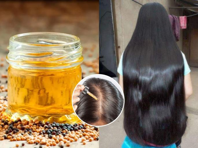 Hair Fall Control Tips Mustard Oil For Hair Growth Mix These Ingredients | केस खूपच तुटतात-टक्कल पडतंय? मोहरीच्या तेलासोबत हे पदार्थ स्काल्पला लावा; दाट होतील केस