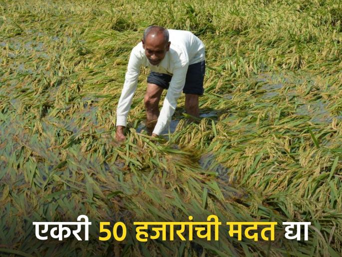 Get the farmers out of this crisis! Waive off debt to make Satbara Kora | शेतकऱ्यांना या संकटातून बाहेर काढा ! सातबारा कोरा करण्यासाठी कर्जमुक्ती करा Get the farmers out of this crisis! Waive off debt to make Satbara Kora | शेतकऱ्यांना या संकटातून बाहेर काढा ! सातबारा कोरा करण्यासाठी कर्जमुक्ती करा