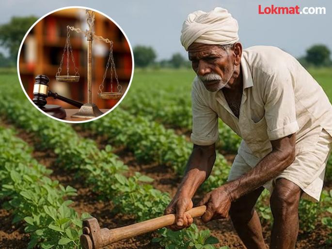 "Give loan waiver to those 248 farmers within three months", the High Court slapped the state government, what is the order? | "त्या २४८ शेतकऱ्यांना तीन महिन्यांत कर्जमाफी द्या", उच्च न्यायालयाने राज्य सरकारला झापले, आदेश काय? "Give loan waiver to those 248 farmers within three months", the High Court slapped the state government, what is the order? | "त्या २४८ शेतकऱ्यांना तीन महिन्यांत कर्जमाफी द्या", उच्च न्यायालयाने राज्य सरकारला झापले, आदेश काय?