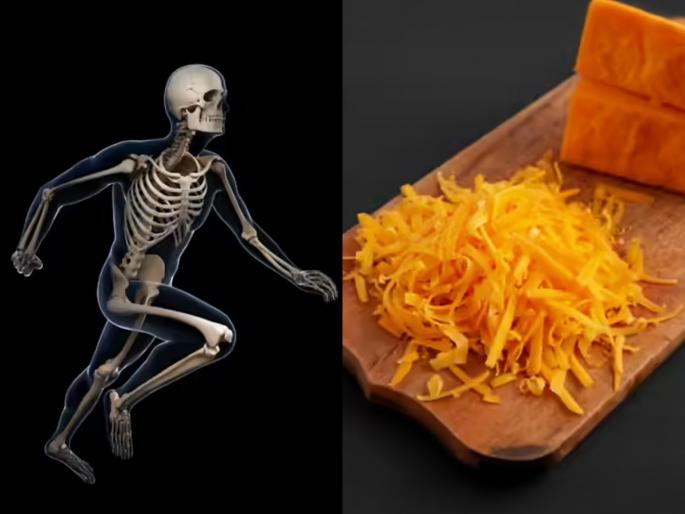 Highest Calcium Foods For Strong Bones And Joints That Increase More Calcium Than Milk | गाई, म्हशीच्या दुधापेक्षा जास्त कॅल्शियम मिळेल; रोज 'हा' पदार्थ खा, मजबूत होतील हाडं अन् दात