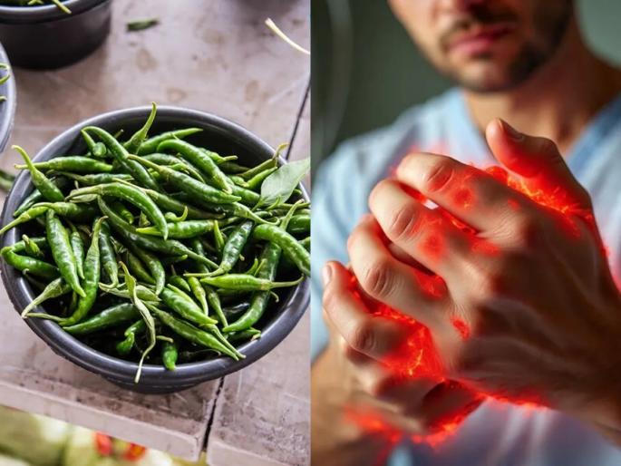 Tips to Avoid Burning Sensation In Your Hands After Cutting Chillies | मिरच्या चिरल्या की हातांची फार आग होते? ५ ट्रिक्स, हातांची जळजळ होणंच बंद