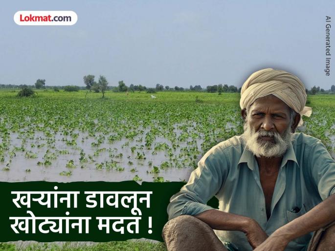 No help for the real ones, benefits for the fake ones! Relief funds given to relatives while ignoring the affected farmers, Guardian Minister orders inquiry | खऱ्यांना मदत नाही, खोट्यांचा फायदा ! नुकसानग्रस्त शेतकऱ्यांना डावलून नातेवाइकांना मदतनिधी, पालकमंत्र्यांनी दिले चौकशीचे आदेश