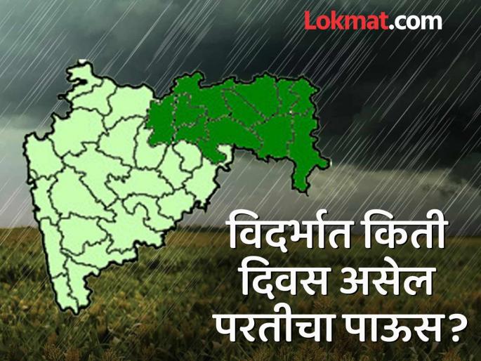 Heavy rains will fall again in Vidarbha, 'these' districts will be hit! When will it finally withdraw? | विदर्भात पुन्हा पाऊस जोरात बरसणार, 'या' जिल्ह्यांना बसणार फटका ! अखेर केव्हा घेणार माघार?