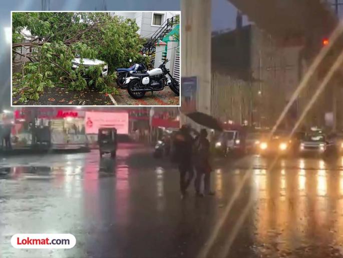 'These' districts in Vidarbha hit by heavy rains, causing immense damage to crops! How long will the intensity continue? | विदर्भात 'या' जिल्ह्यांना मुसळधार पावसाचा फटका, पिकांचे अतोनात नुकसान ! अजून किती दिवस जोर राहणार कायम? 'These' districts in Vidarbha hit by heavy rains, causing immense damage to crops! How long will the intensity continue? | विदर्भात 'या' जिल्ह्यांना मुसळधार पावसाचा फटका, पिकांचे अतोनात नुकसान ! अजून किती दिवस जोर राहणार कायम?