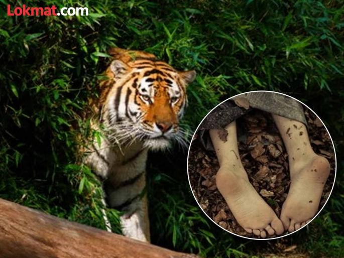 Mother is sleeping on the roof.. morning scene was shocking! Two horrific incidents in the village in three days | आई छप्परीत झोपलेली.. सकाळी पाहतो तर काय ! गावात तीन दिवसात दोन भयावह घटना Mother is sleeping on the roof.. morning scene was shocking! Two horrific incidents in the village in three days | आई छप्परीत झोपलेली.. सकाळी पाहतो तर काय ! गावात तीन दिवसात दोन भयावह घटना