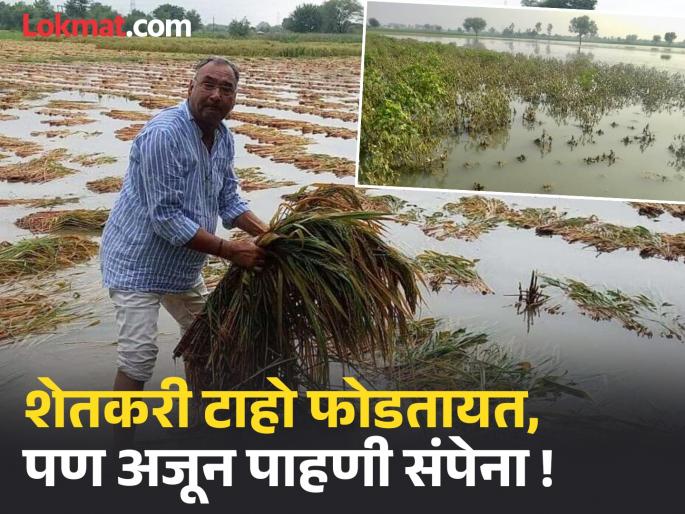 The crop is gone, the house is gone, what else is left to see? Farmers need help, but the inspection is not over yet! | Ativrushti Nuksan Bharpai : पीक गेलं, घर गेलं अजून काय पाहायचं उरलं.. शेतकऱ्यांना मदतीची गरज, पण अजून पाहणी संपेना ! The crop is gone, the house is gone, what else is left to see? Farmers need help, but the inspection is not over yet! | Ativrushti Nuksan Bharpai : पीक गेलं, घर गेलं अजून काय पाहायचं उरलं.. शेतकऱ्यांना मदतीची गरज, पण अजून पाहणी संपेना !