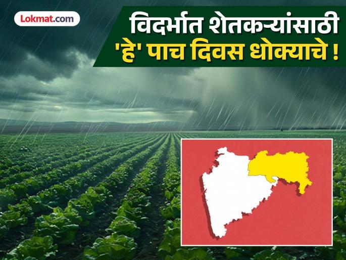 Vidarbha Rains : 'These' five days are dangerous for farmers in Vidarbha! District Collectors advised to be vigilant, yellow alert issued | Vidarbha Rains : विदर्भात शेतकऱ्यांसाठी 'हे' पाच दिवस धोक्याचे ! जिल्हाधिकाऱ्यांना सतर्क राहण्याच्या सूचना, यलो अलर्ट जारी Vidarbha Rains : 'These' five days are dangerous for farmers in Vidarbha! District Collectors advised to be vigilant, yellow alert issued | Vidarbha Rains : विदर्भात शेतकऱ्यांसाठी 'हे' पाच दिवस धोक्याचे ! जिल्हाधिकाऱ्यांना सतर्क राहण्याच्या सूचना, यलो अलर्ट जारी