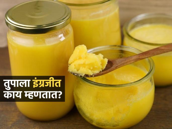What Is Ghee Called In English If Butter Is Called Butter Then What Is Ghee Called In English | तुपाला इंग्रजीत काय म्हणतात? 99 टक्के लोकांना माहिती नसतं तुपाला काय म्हणतात....