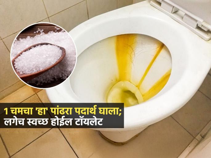 Why Should You Put Salt In Your Toilet Know Easy Bathroom Cleaning Hack | न घासता टॉयलेट होईल स्वच्छ! १ चिमूट 'हा' पांढरा पदार्थ घाला; चकचकीत दिसेल टॉयलेट