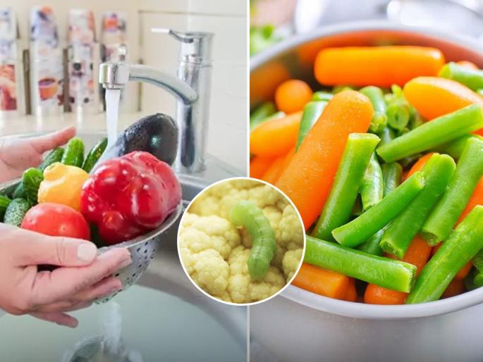 Larvae are hidden in 'these' vegetables, they enter the stomach without being noticed - the correct way to clean vegetables | 'या' भाज्यांमध्ये लपलेल्या असतात अळ्या , न कळत जातात पोटात- भाजी साफ करण्याची योग्य पद्धत