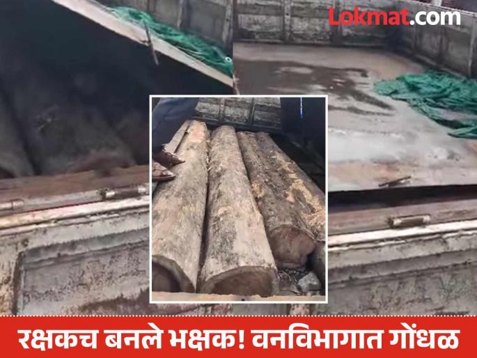 'Pushpa' movie script stolen! Teak wood smuggling with the help of forest guard in Gadchiroli; Forest department in a state of shock | 'पुष्पा' चित्रपटाची स्क्रिप्ट चोरली ! गडचिरोलीत वनरक्षकाच्या मदतीनेच सागवान लाकडांची तस्करी; वनविभागात खळबळ 'Pushpa' movie script stolen! Teak wood smuggling with the help of forest guard in Gadchiroli; Forest department in a state of shock | 'पुष्पा' चित्रपटाची स्क्रिप्ट चोरली ! गडचिरोलीत वनरक्षकाच्या मदतीनेच सागवान लाकडांची तस्करी; वनविभागात खळबळ