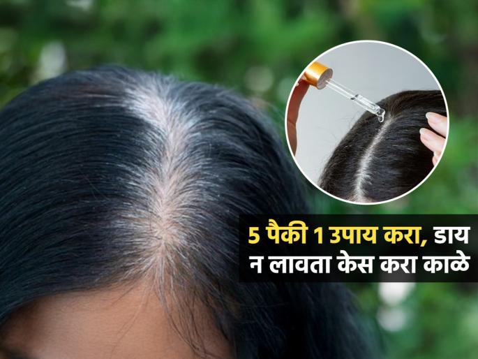 5 Best Home Remedies For White Hair Know How To Reverse Greying Of Hair Naturally | पांढरे केस धाग्यासारखे चमकतात? ५ घरगुती उपायांपैकी १ करा, डाय न करता काळे होतील केस