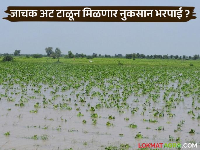 How much compensation will Chandrapur district get from the package? Guardian Minister assures to provide immediate compensation, avoiding onerous conditions | पॅकेजमधून चंद्रपूर जिल्ह्याला किती मिळणार नुकसान भरपाई ? जाचक अट टाळून सरसकट भरपाई देण्याची पालकमंत्र्यांची ग्वाही How much compensation will Chandrapur district get from the package? Guardian Minister assures to provide immediate compensation, avoiding onerous conditions | पॅकेजमधून चंद्रपूर जिल्ह्याला किती मिळणार नुकसान भरपाई ? जाचक अट टाळून सरसकट भरपाई देण्याची पालकमंत्र्यांची ग्वाही