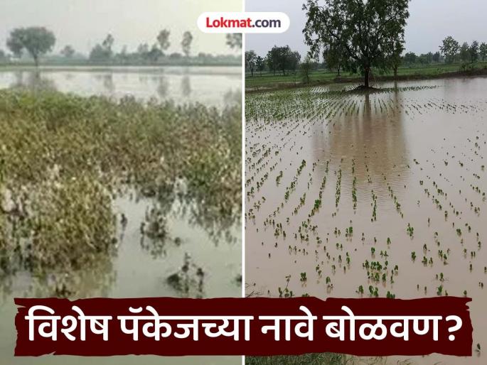 Which talukas in Amravati are included in the package? Farmers who suffered losses between June and September will get assistance | पॅकेजमध्ये समाविष्ट अमरावतीतील तालुके कोणते? जून ते सप्टेंबरदरम्यान नुकसान झालेल्या शेतकऱ्यांना मिळणार मदत Which talukas in Amravati are included in the package? Farmers who suffered losses between June and September will get assistance | पॅकेजमध्ये समाविष्ट अमरावतीतील तालुके कोणते? जून ते सप्टेंबरदरम्यान नुकसान झालेल्या शेतकऱ्यांना मिळणार मदत