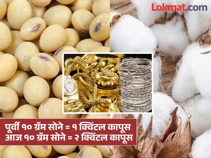Why is that? Ten years ago, the price of 10 grams of gold and one quintal of cotton were the same, today cotton costs twice as much. | असं का? दहा वर्षांपूर्वी १० ग्रॅम सोन्याचे व एक क्विंटल कापसाचे भाव होते सारखेच, आज मोजावा लागतो दुप्पट कापूस Why is that? Ten years ago, the price of 10 grams of gold and one quintal of cotton were the same, today cotton costs twice as much. | असं का? दहा वर्षांपूर्वी १० ग्रॅम सोन्याचे व एक क्विंटल कापसाचे भाव होते सारखेच, आज मोजावा लागतो दुप्पट कापूस