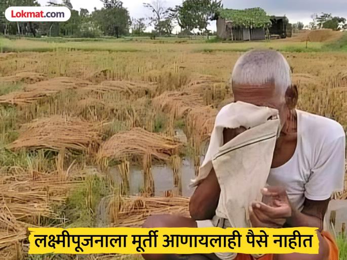 Claim of compensation in farmers' accounts before Diwali is false! Even after Lakshmi Pujan, funds are deposited in only 30 percent of farmers' accounts | दिवाळीपूर्वी शेतकऱ्यांच्या खात्यात भरपाई देण्याचा दावा फोल ! लक्ष्मीपूजन आले तरी केवळ ३० टक्केच शेतकऱ्यांच्या खात्यात निधी जमा Claim of compensation in farmers' accounts before Diwali is false! Even after Lakshmi Pujan, funds are deposited in only 30 percent of farmers' accounts | दिवाळीपूर्वी शेतकऱ्यांच्या खात्यात भरपाई देण्याचा दावा फोल ! लक्ष्मीपूजन आले तरी केवळ ३० टक्केच शेतकऱ्यांच्या खात्यात निधी जमा