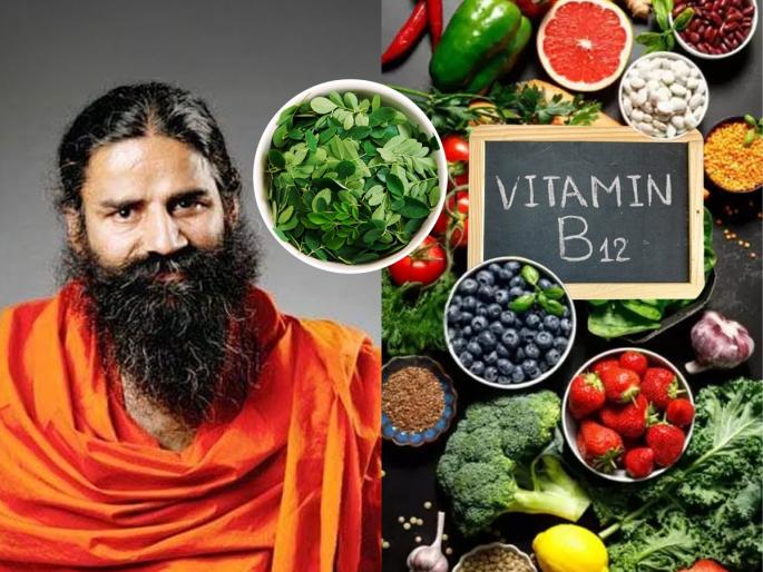Amazing Benefits Of Moringa Leaves Can Improve Vitamin B-12 Deficiency Baba Ramdev explained | व्हिटामिन B-12 कमी आहे? रोज ‘ही’ पानं खा, भाजीही खा-अशक्तपणा-थकवा होईल दूर