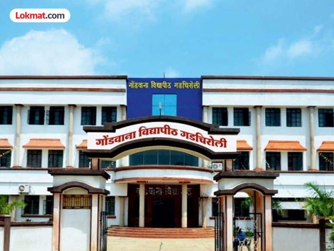 Gondwana University postpones Diwali winter exams; 'This is' the new schedule | गोंडवाना विद्यापीठाने दिवाळीच्या हिवाळी परीक्षा पुढे ढकलल्या; 'असे' आहे नवीन वेळापत्रक Gondwana University postpones Diwali winter exams; 'This is' the new schedule | गोंडवाना विद्यापीठाने दिवाळीच्या हिवाळी परीक्षा पुढे ढकलल्या; 'असे' आहे नवीन वेळापत्रक