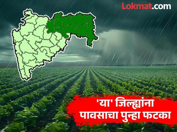 Yellow alert issued for 'these' districts of Vidarbha from October 25 to 27! North-east monsoon will remain active till December | २५ ते २७ ऑक्टोबरदरम्यान विदर्भातील 'या' जिल्ह्यांना यलो अलर्ट जारी ! उत्तर-पूर्व मान्सून डिसेंबरपर्यंत राहणार सक्रिय Yellow alert issued for 'these' districts of Vidarbha from October 25 to 27! North-east monsoon will remain active till December | २५ ते २७ ऑक्टोबरदरम्यान विदर्भातील 'या' जिल्ह्यांना यलो अलर्ट जारी ! उत्तर-पूर्व मान्सून डिसेंबरपर्यंत राहणार सक्रिय