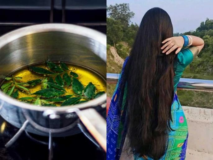 Try These Homemade Hair Tonic To Stop Hair Fall : Hair Care Tips Homemade Hair Tonic For Hair Growth | रोज गळून केसांचं चपटं शेपूट झालं? तेलात १ पदार्थ घालून हेअर टॉनिक लावा, केस सहज दाट होतील Try These Homemade Hair Tonic To Stop Hair Fall : Hair Care Tips Homemade Hair Tonic For Hair Growth | रोज गळून केसांचं चपटं शेपूट झालं? तेलात १ पदार्थ घालून हेअर टॉनिक लावा, केस सहज दाट होतील