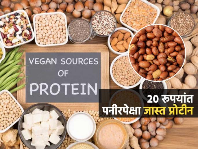 Top Veg Protein Source Peanuts Powerhouse Of Protein Eating 100 Grams Of Peanuts Daily | फक्त मूठभर शेंगदाणे खा; २० रूपयांत मिळेल प्रोटीनचा पॉवरहाऊस, मसल्स-हाडं होतील पोलादी Top Veg Protein Source Peanuts Powerhouse Of Protein Eating 100 Grams Of Peanuts Daily | फक्त मूठभर शेंगदाणे खा; २० रूपयांत मिळेल प्रोटीनचा पॉवरहाऊस, मसल्स-हाडं होतील पोलादी
