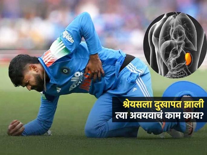 Shreyas Iyer Suffers Spleen Injuiry During Ind Vs Aus Odi What The Speen do Knows Its Roles | Shreyas Iyer Spleen Injury : श्रेयस अय्यरला दुखापत झाली त्या अवयवाचं काम काय असतं? स्प्लीन कुठे असतो... Shreyas Iyer Suffers Spleen Injuiry During Ind Vs Aus Odi What The Speen do Knows Its Roles | Shreyas Iyer Spleen Injury : श्रेयस अय्यरला दुखापत झाली त्या अवयवाचं काम काय असतं? स्प्लीन कुठे असतो...