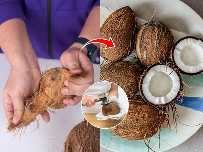 How To Remove Coconut From Coconut Shell Easily How To Break Coconut Easily | नारळ फोडण्याची भन्नाट ट्रिक! २ मिनिटांत नारळ फुटून खोबरं येईल हातात-करा सोपी युक्ती