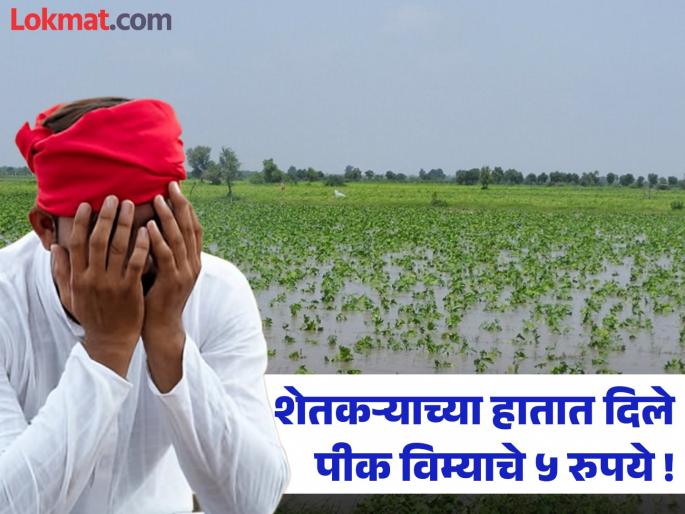 Farmer returns Rs 5 received as crop insurance! Farmers mocked in Pradhan Mantri Fasal Bima Yojana | पीक विम्याचे मिळालेले ५ रुपये, शेतकऱ्याने केले परत ! प्रधानमंत्री पीक विमा योजनेत शेतकऱ्यांची थट्टा Farmer returns Rs 5 received as crop insurance! Farmers mocked in Pradhan Mantri Fasal Bima Yojana | पीक विम्याचे मिळालेले ५ रुपये, शेतकऱ्याने केले परत ! प्रधानमंत्री पीक विमा योजनेत शेतकऱ्यांची थट्टा