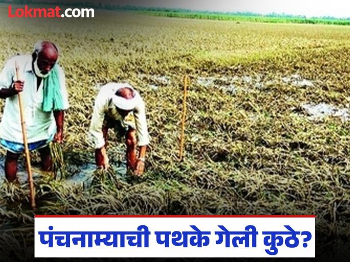 Agriculture in water, farmers in distress, where did the Panchnama teams go? Huge damage to cotton, soybean and paddy crops | शेती पाण्यात, शेतकरी संकटात पंचनाम्याची पथके गेली कुठे? कापूस, सोयाबीन व धान पिकांचे प्रचंड नुकसान Agriculture in water, farmers in distress, where did the Panchnama teams go? Huge damage to cotton, soybean and paddy crops | शेती पाण्यात, शेतकरी संकटात पंचनाम्याची पथके गेली कुठे? कापूस, सोयाबीन व धान पिकांचे प्रचंड नुकसान
