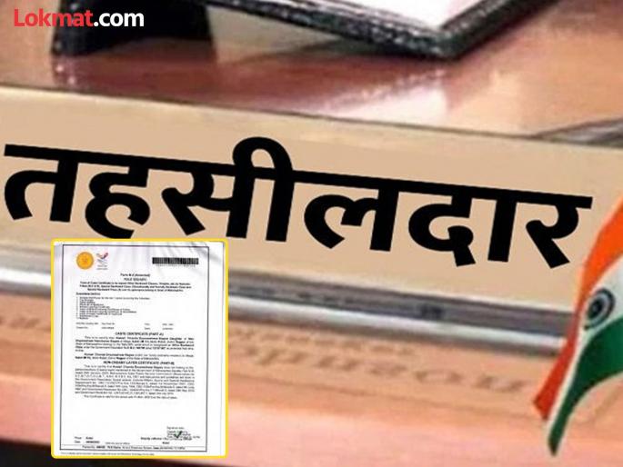 How can 104 Tehsildars be promoted even when they do not have 'caste validity'? | १०४ तहसीलदारांना 'कास्ट व्हॅलिडिटी' नसतानाही पदोन्नती कशी ? How can 104 Tehsildars be promoted even when they do not have 'caste validity'? | १०४ तहसीलदारांना 'कास्ट व्हॅलिडिटी' नसतानाही पदोन्नती कशी ?