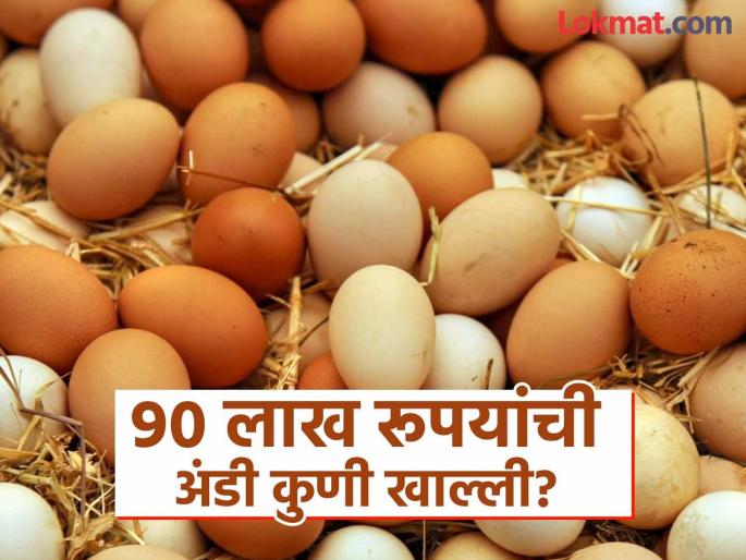 Who ate the eggs worth Rs 90 lakh? The payment file disappeared from the Dharani Integrated Project | ९० लाख रूपयांची अंडी कुणी खाल्ली? धारणी एकात्मिक प्रकल्पातून देयकांची फाईलच केली गायब