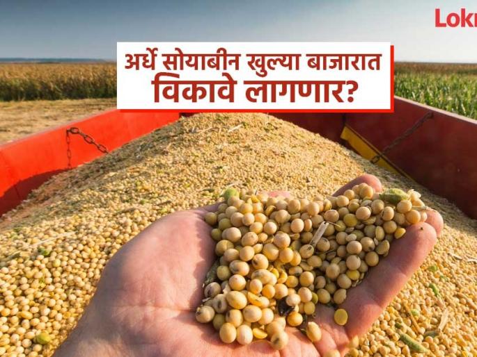 Will farmers have to sell half of their soybeans in the open market? According to the government ordinance, only 18 lakh metric tons will be purchased | शेतकऱ्यांना अर्धे सोयाबीन खुल्या बाजारात विकावे लागणार? शासनाच्या अध्यादेशानुसार, केवळ १८ लाख मेट्रिक टनच खरेदी होणार