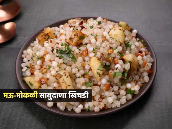 5 tips for making soft, fluffy sago khichdi : Sabudana Khichdi Making Tips How To Make Sabudana Khichdi | मऊ, मोकळी साबुदाणा खिचडी करण्याच्या ५ टिप्स; साबुदाणा ना चिकट होणार ना तेल पिणार