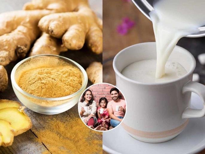 Drink special Sunthi milk in cold weather - you will sleep soundly, your throat will remain healthy | थंडीत प्या खास सुंठीचे दूध - काहीच त्रास होणार नाही, झोप लागेल एकदम मस्त , घसा राहील भारी