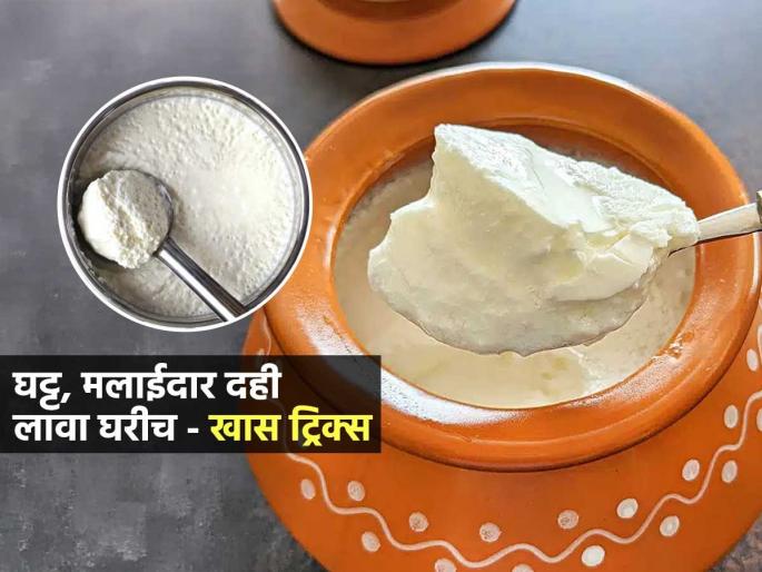 How To Set Curd At Home In Winter : How To Set Curd At Home Without Curd | थंडीत दही नीट लागत नाही? ३ ट्रिक्स, कापता येईल असं जाडसर, मलाईदार दही घरीच होईल