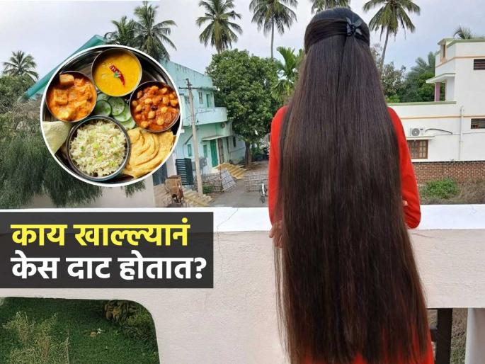 Food For Hair Growth : Eat These 5 Food For Fast Hair Growth | केस वाढतच नाहीयेत? आहारात हे पदार्थ घ्या, भराभर वाढतील केस-घनदाट होतील Food For Hair Growth : Eat These 5 Food For Fast Hair Growth | केस वाढतच नाहीयेत? आहारात हे पदार्थ घ्या, भराभर वाढतील केस-घनदाट होतील