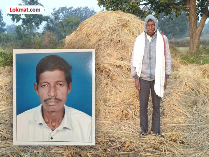 After harvesting, the crop was left standing in a heap, wild elephants made a trash of ashes in a moment; a frustrated farmer committed suicide | कापणीनंतर पुंजने उभारून ठेवले, रानटी हत्तींनी क्षणांत केली पिकाची राखरांगोळी; खचलेल्या शेतकऱ्याची आत्महत्या