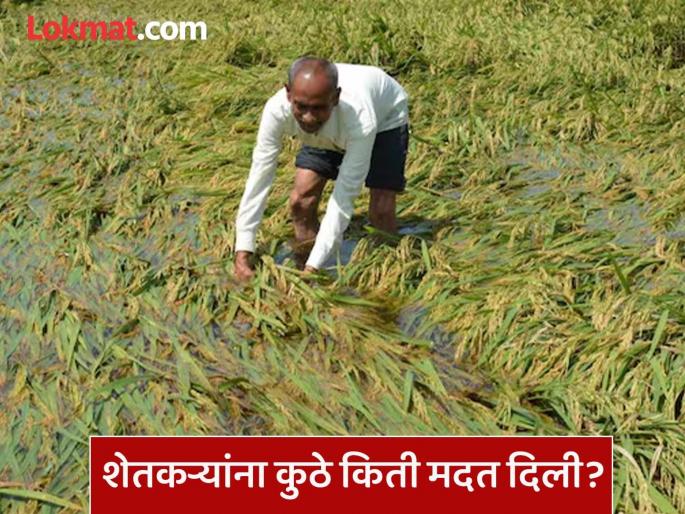 Declare where and how much assistance was given to disaster-affected farmers; MLA Shashikant Shinde demands | आपत्तीग्रस्त शेतकऱ्यांना कुठे किती मदत दिली ते जाहीर करा; आमदार शशिकांत शिंदे यांनी केली मागणी