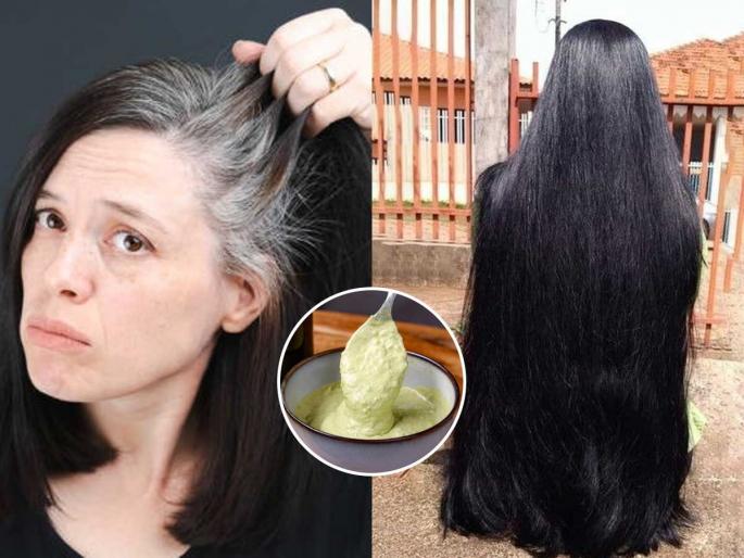 Grey Hairs Solution : How To Get Rid Of White Hairs Naturally | पांढरे केस धाग्यासारखे चमकतात? डाय न लावता करा 'हा' घरगुती उपाय, काळे होतील केस Grey Hairs Solution : How To Get Rid Of White Hairs Naturally | पांढरे केस धाग्यासारखे चमकतात? डाय न लावता करा 'हा' घरगुती उपाय, काळे होतील केस
