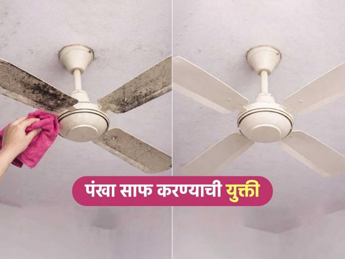 How To Clean Ceiling Fan Easily : Easy Tricks To Clean Ceiling Fan Easily | पंख्यावर धुळीचे थर- पाहा पंखा झटपट साफ करण्याची सोपी युक्ती, दमायचं काम नाही.. How To Clean Ceiling Fan Easily : Easy Tricks To Clean Ceiling Fan Easily | पंख्यावर धुळीचे थर- पाहा पंखा झटपट साफ करण्याची सोपी युक्ती, दमायचं काम नाही..