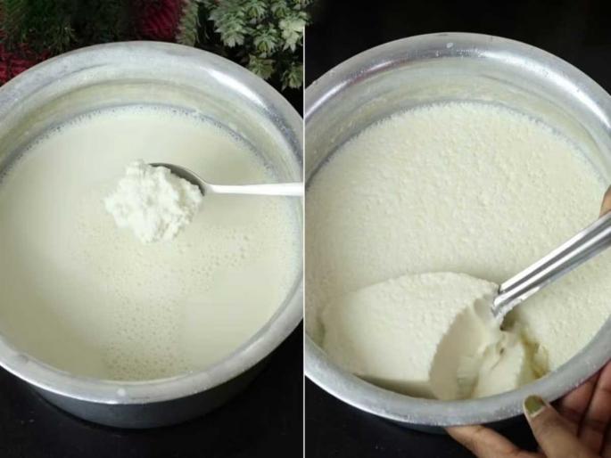 How To Set Thick Creamy Curd At Home : Pro Tips For Make Thick Curd At Home | चाकूनं कापता येईल असं दही लावण्याची खास ट्रिक! विकतपेक्षा दाट दही विरजा घरीच How To Set Thick Creamy Curd At Home : Pro Tips For Make Thick Curd At Home | चाकूनं कापता येईल असं दही लावण्याची खास ट्रिक! विकतपेक्षा दाट दही विरजा घरीच